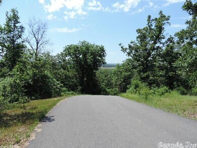 0 Cordial Cove unit 15015916, Conway, AR 72032 - photo 2