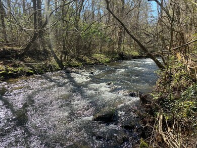 Lot 38 Bears Paw Dr, Ellijay, GA 30536 - photo 7