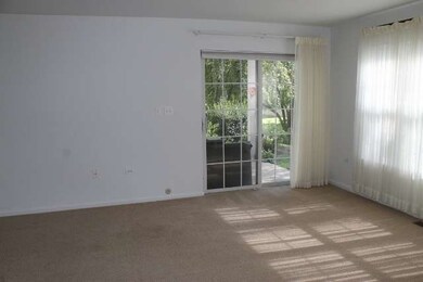 1650 Grove Ave unit 1A, Schaumburg, IL 60193 - photo 6