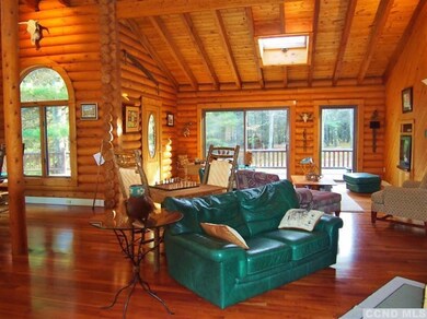 249 Muller Rd, Ashland, NY 12485 - photo 2