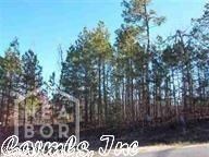 0 Mountain Home Rd, Paragould, AR 72450 - photo 2