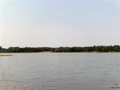 15628 Eastside Rd, Tyler, TX 75707 - photo 3