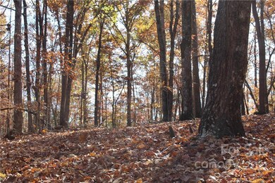 0 Wilderness Ridge unit 3806257, Rutherfordton, NC 28139 - photo 4