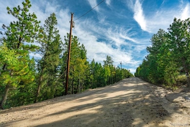 360 Hi Meadow Dr unit 21, Bailey, CO 80421 - photo 6