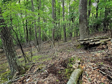 TBD Red Fox Trail, Boone, NC 28607 - photo 7