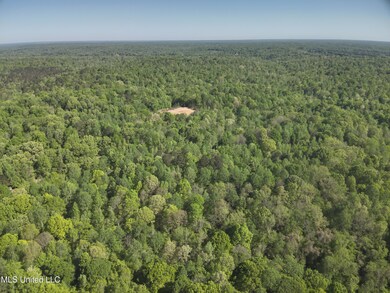 DJI_20250411100216_0003_V