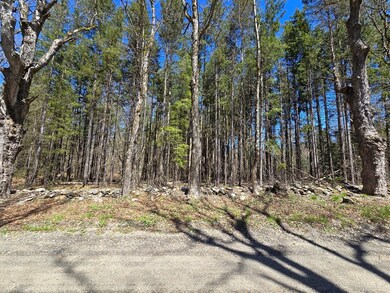 0 Yale Rd unit 73227296, Cummington, MA 01026 - photo 2