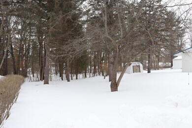 3 wooded backyard and nice lot!