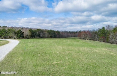 297 Hitchin Post Dr, Jamestown, TN 38556 - photo 4