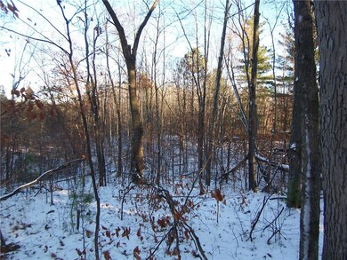 0 (Lot 8) Deer Stand Trail, Webster, WI 54893 - photo 2