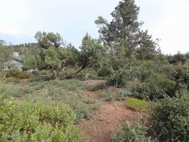 807 E Phoenix St unit 50, Payson, AZ 85541 - photo 5