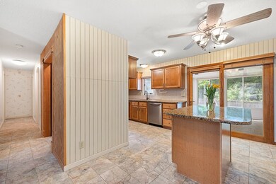 409 Holcomb Rd, Springfield, MA 01118 - photo 6