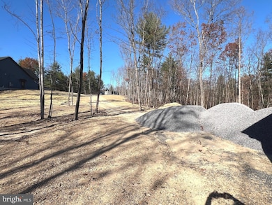 20 Mayapple Ct, Hedgesville, WV 25427 - photo 6