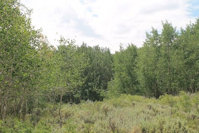 Tbd County Road 305, Kemmerer, WY 83101 - photo 5