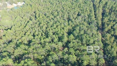 0 Patterson Rd unit 388847, Robertsdale, AL 36567 - photo 2