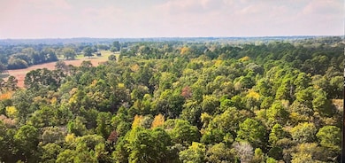 17278 N Highway 69, Tyler, TX 75703 - photo 2