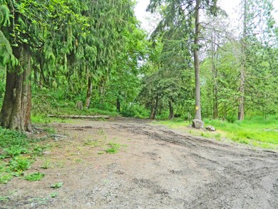 16213 S Prairie Creek Rd E, Orting, WA 98360 - photo 7