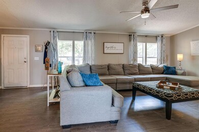 143 Clara Lee Ln, Springtown, TX 76082 - photo 4