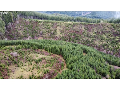 0 Logsden Rd, Logsden, OR 97357 - photo 3