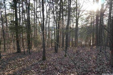 99999 Windamere Dr, Tumbling Shoals, AR 72581 - photo 4