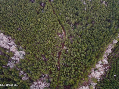 0 Pea Ridge Rd unit 4101611, Harrisville, MS 39082 - photo 4