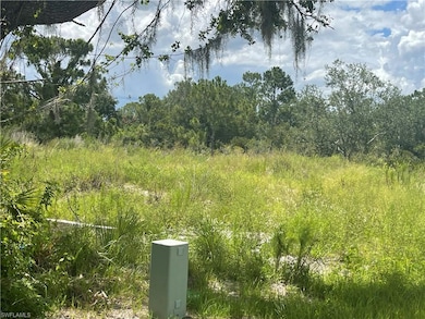 3487 Mentone St, Port Charlotte, FL 33980 - photo 4