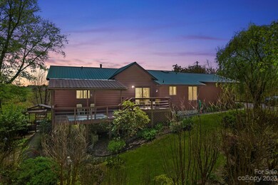 384 Turkey Creek Rd, Leicester, NC 28748 - photo 3