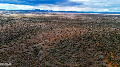 10500 W Big Moon Ln, Ash Fork, AZ 86320 - photo 4