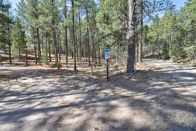 Lot B Lands of Hotch Fr 10, Jemez Springs, NM 87025 - photo 3