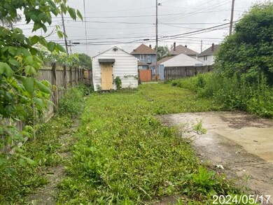 IMG_2913 (Small) (1)