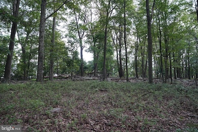 Lot 7 Justin Ln, Great Cacapon, WV 25422 - photo 3