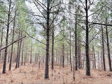 48 Ranches at Hickory Ridge, Dover, TN 37058 - photo 6