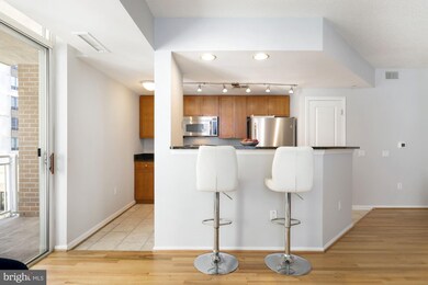 The Crescent unit 410, Silver Spring, MD 20910 - photo 6