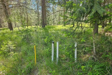 LOT 22 Couples Ct, Chewelah, WA 99109 - photo 7