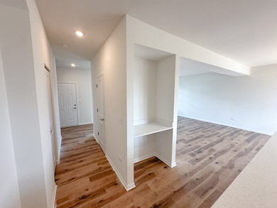 1011 Celebration Dr, Aurora, IL 60504 - photo 7