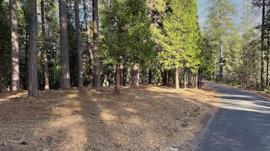 19045 Pine Dr, Pioneer, CA 95666 - photo 2