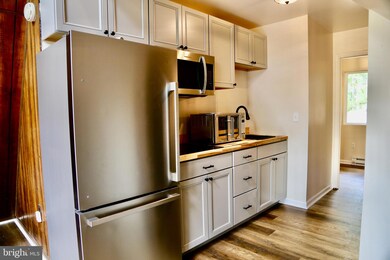 524 Triple Creek Rd, Baker, WV 26801 - photo 5