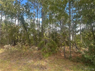 7779 N Cricket Dr, Citrus Springs, FL 34434 - photo 5