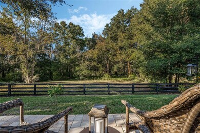 30431 Gidran Terrace, Mount Dora, FL 32757 - photo 4