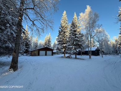 3448 Jack Warren Rd, Delta Junction, AK 99737 - photo 4