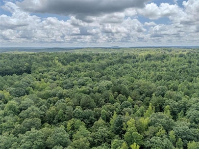 0 Cross Roads Church Rd unit 7629947, Buchanan, GA 30113 - photo 7