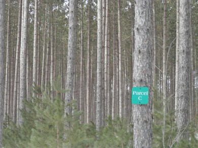 4.98 acres in Parcel C