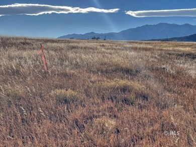 TBD-L309 Morgan, Colorado City, CO 81019 - photo 4