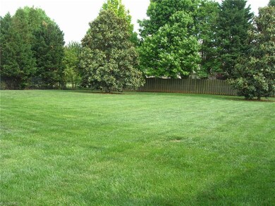 Great level back yard