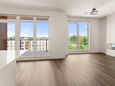 Large Windows