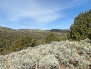 7 Bear River unit 7, Preston, ID 83263 - photo 2