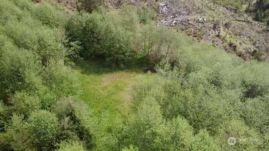 0 Germany Creek Rd unit NWM2032245, Longview, WA 98632 - photo 6