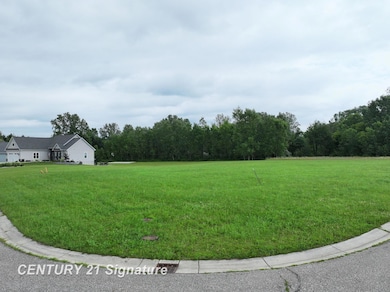 2390 Double Tree Dr, Flushing, MI 48433 - photo 3