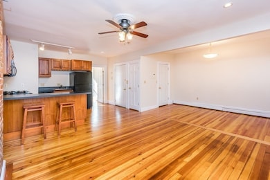 33 E Springfield St unit 2, Boston, MA 02118 - photo 2