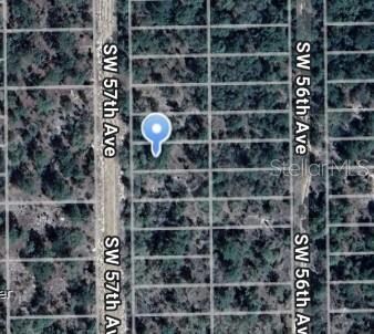 0 SW 57th Ave unit MFROM710214, Interlachen, FL 32148 - photo 2